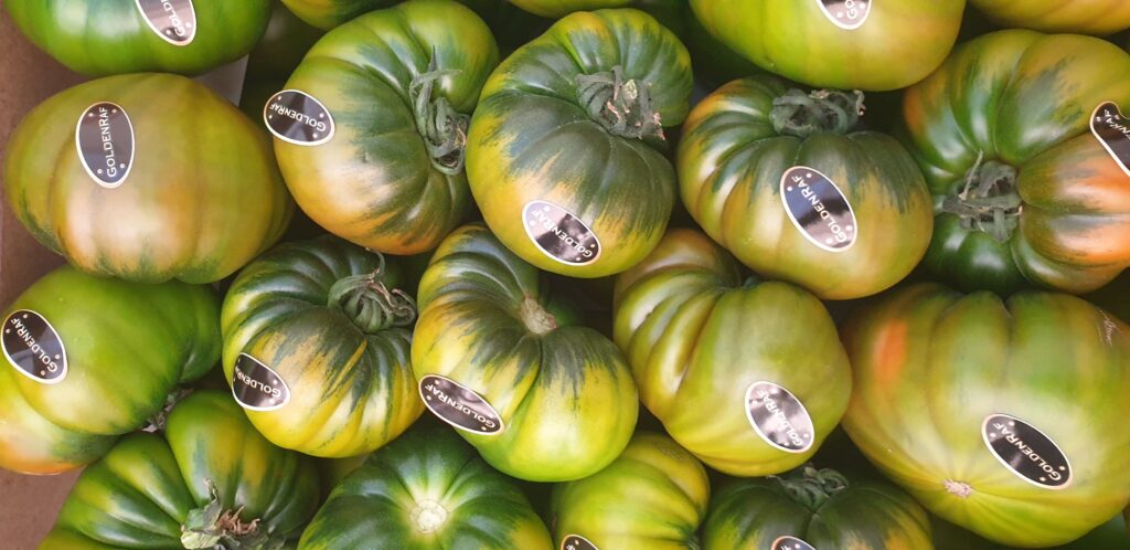 Ejemplares GoldenRaf